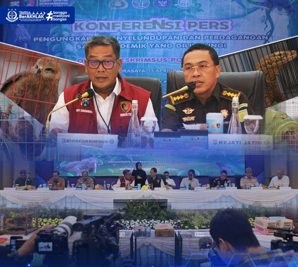 PRESS-RELEASE-1-e1776251967564-1024x918-1